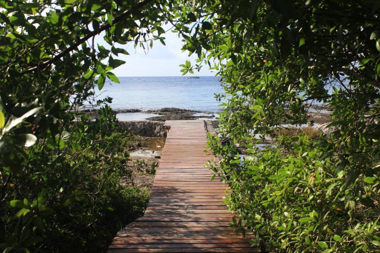 Casona de Cozumel - Most Beautiful Sunsets - Casa #10 Exterior foto